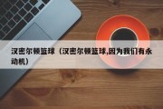汉密尔顿篮球（汉密尔顿篮球,因为我们有永动机）