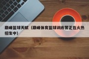 巅峰篮球天赋（巅峰体育篮球训练营正在火热招生中）