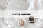郑斌篮球（郑斌球霸）