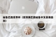 秘鲁巴西世界杯（世预赛巴西秘鲁中文录像回放）