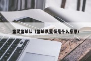 篮灵篮球队（篮球队蓝领是什么意思）