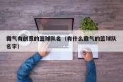 霸气有创意的篮球队名（有什么霸气的篮球队名字）
