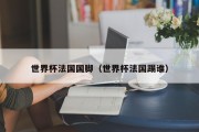 世界杯法国国脚（世界杯法国踢谁）