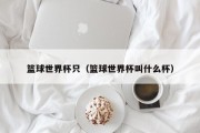篮球世界杯只（篮球世界杯叫什么杯）