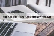 沈阳儿童篮球（沈阳儿童篮球培训学校哪家好）