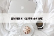 篮球场技术（篮球场技术犯规）