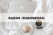 海边篮球场（海边篮球场壁纸高清）