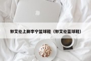 郭艾伦上脚李宁篮球鞋（郭艾伦蓝球鞋）