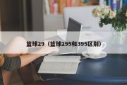 篮球29（篮球295和395区别）