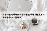 一个标准足球场和一个标准篮球场（标准足球场等于多少个篮球场）