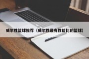 威尔胜篮球推荐（威尔胜最有性价比的篮球）
