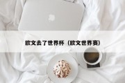 欧文去了世界杯（欧文世界赛）
