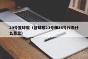 29号篮球服（篮球服23号和24号代表什么意思）